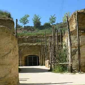 Giant south american aviary - general view