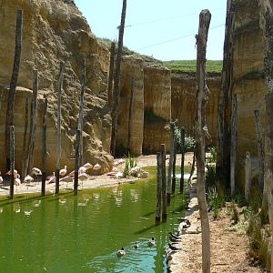 Giant south american aviary - general view