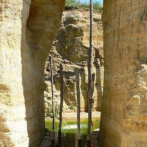 Giant south american aviary - general view