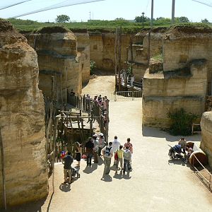 Giant south american aviary - general view