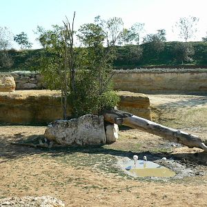 Black rhinos canyon - general view