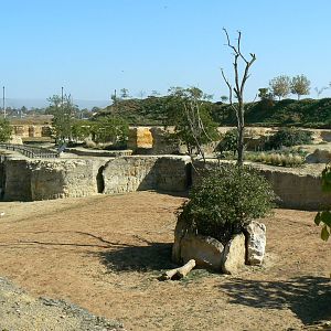 Black rhinos canyon - general view
