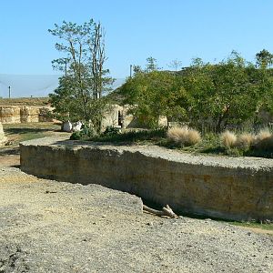 Black rhinos canyon - general view