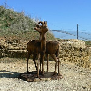 Black rhinos canyon - Gazelles statue