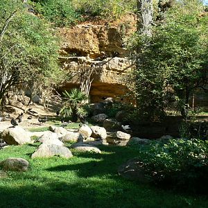 European birds aviary