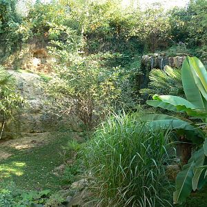 European birds aviary