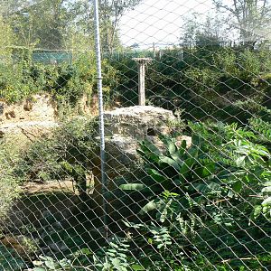 European birds aviary (view from the top)