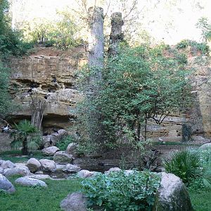 European birds aviary