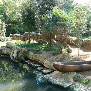 Giant river  otter exhibit