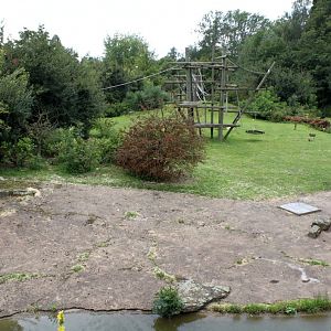 Planckendael - Africa (Bonobo Island)