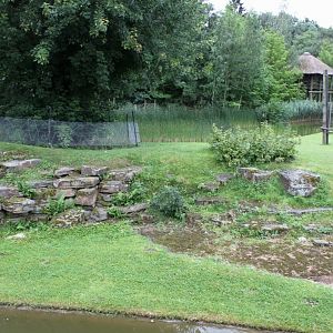 Planckendael - Africa (Bonobo Island)