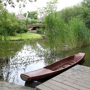 Planckendael - Africa (Bonobo Island)