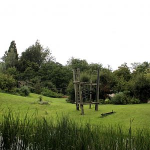 Planckendael - Africa (Bonobo Island)