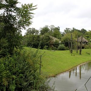 Planckendael - Africa (Bonobo Island)