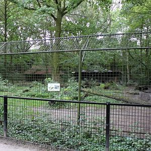 Planckendael - Hyena exhibit