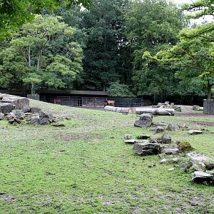 Planckendael - Wapiti exhibit