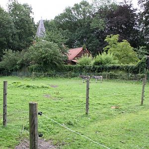 Planckendael - Children's Zoo paddocks