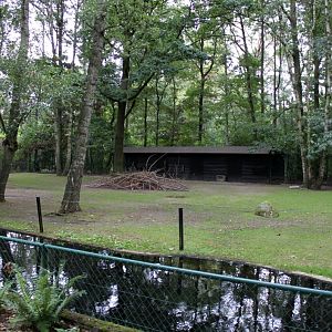 Planckendael - Sitatunga exhibit