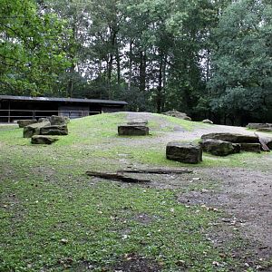 Planckendael - Domestic yak exhibit