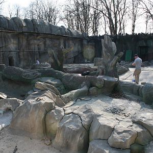 New enclosure for the bears, Summer 2011 (1)