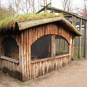 Ferret-exhibit at Rissen