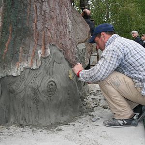 New enclosure for the bears, Summer 2011 (3)