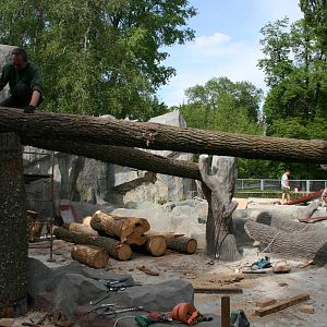 New enclosure for the bears, Summer 2011 (6)