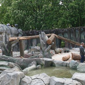 New enclosure for the bears, Summer 2011 (7)