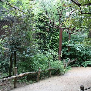 Planckendael - South America (Macaw)