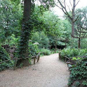 Planckendael - South America (Pathway)