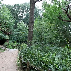 Planckendael - South America (Pathway)