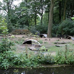 Planckendael - South America (Mara)