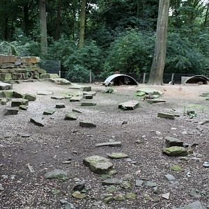 Planckendael - South America (Mara)