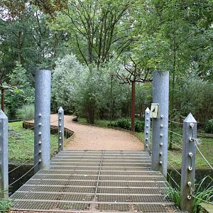 Planckendael - South America (Tamarin island)