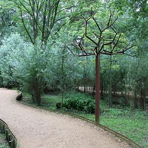 Planckendael - South America (Tamarin island)