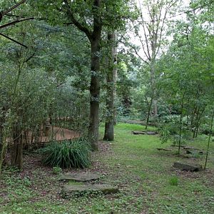 Planckendael - South America (Tamarin island)