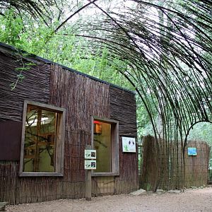 Planckendael - South America (Tamarin house)