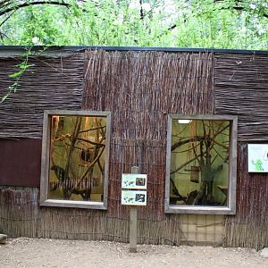 Planckendael - South America (Tamarin house)