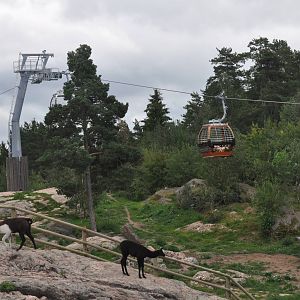 Kolmården Safari