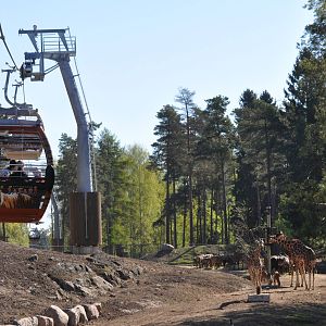 Kolmården Safari - Savanna