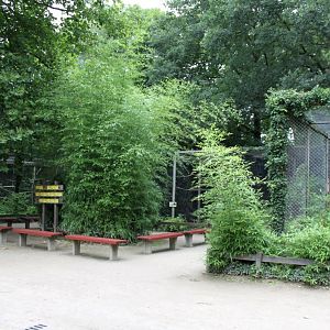 Planckendael - Aviaries