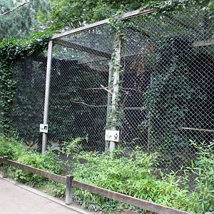 Planckendael - Birds of prey aviaries