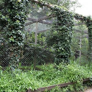 Planckendael - South American aviary