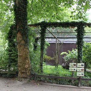 Planckendael - South American aviary