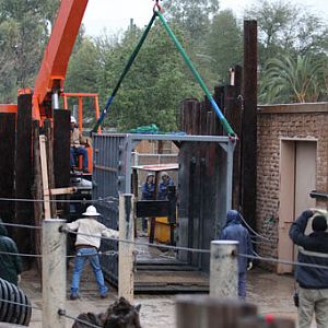 elephant shipping crate