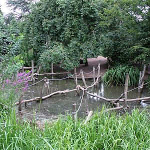 Planckendael - Oceania