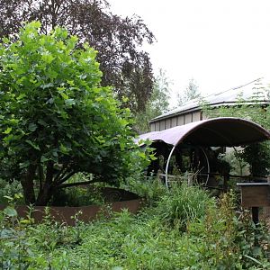 Planckendael - Oceania