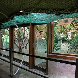 Planckendael - Oceania (Koala House)