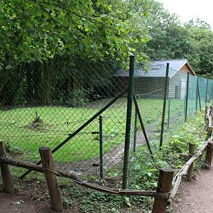 Planckendael - Oceania (Cassowary)