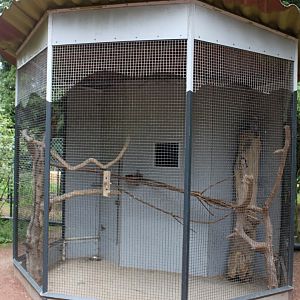 Planckendael - Oceania (Cockatoo aviary)